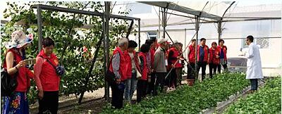 蔬菜種子，幾百萬(wàn)種植戶(hù)的選擇