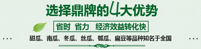 購(gòu)買(mǎi)蔬菜種子，選擇鼎牌的四大優(yōu)勢(shì)