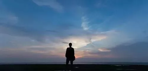 雇工難、成本高，想種甜瓜怎么辦？