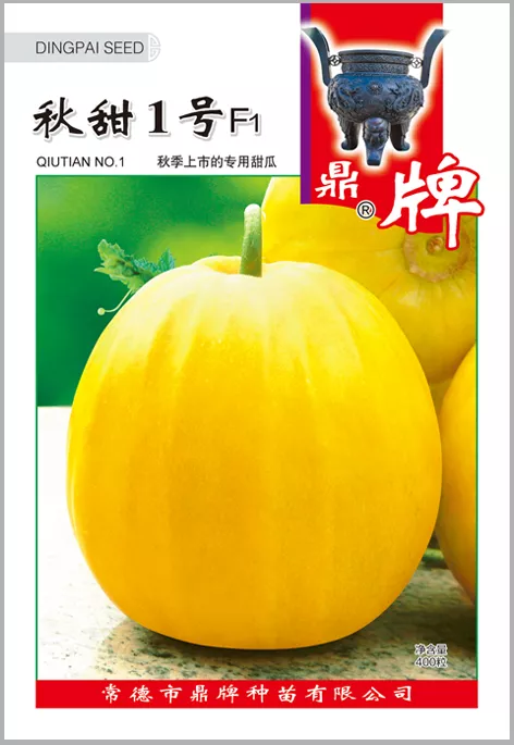 高溫季節(jié)種植甜瓜，什么品種最好？這個(gè)品種是秋季上市的專(zhuān)用品種
