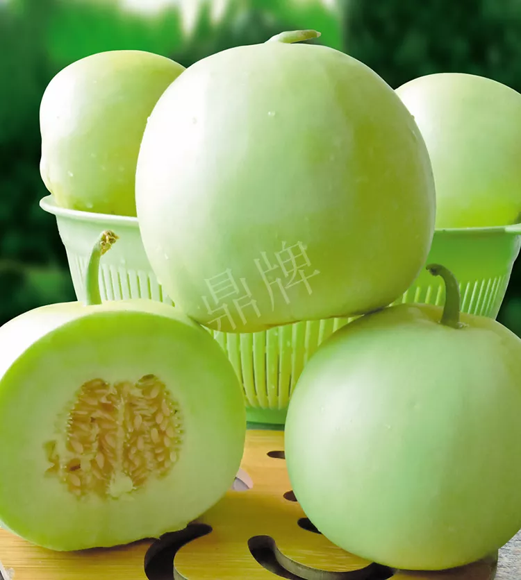 7元一斤還遭瘋搶，畝收益超2萬元！到底什么甜瓜能這么牛？