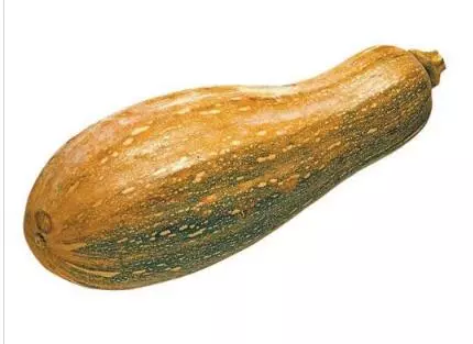 知道最甜最面的南瓜品種嗎？盤(pán)點(diǎn)十種有營(yíng)養(yǎng)的甜面南瓜...