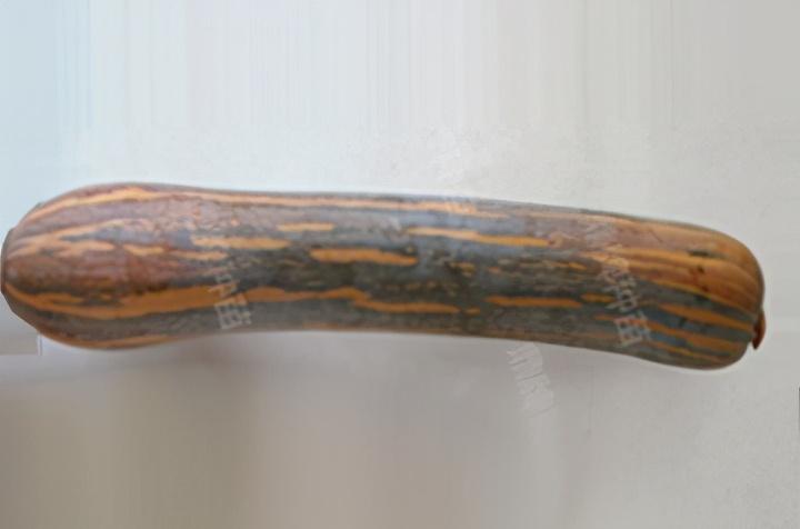 2020年，市面上的南瓜品種哪個口感最好、最甜、最值得種植？