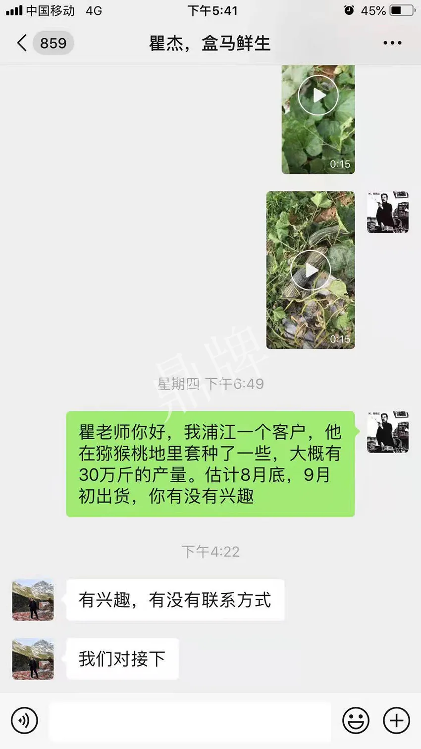 四川農(nóng)戶今年種“健美蜜本”南瓜產(chǎn)量高，品質好，感覺巴適得很