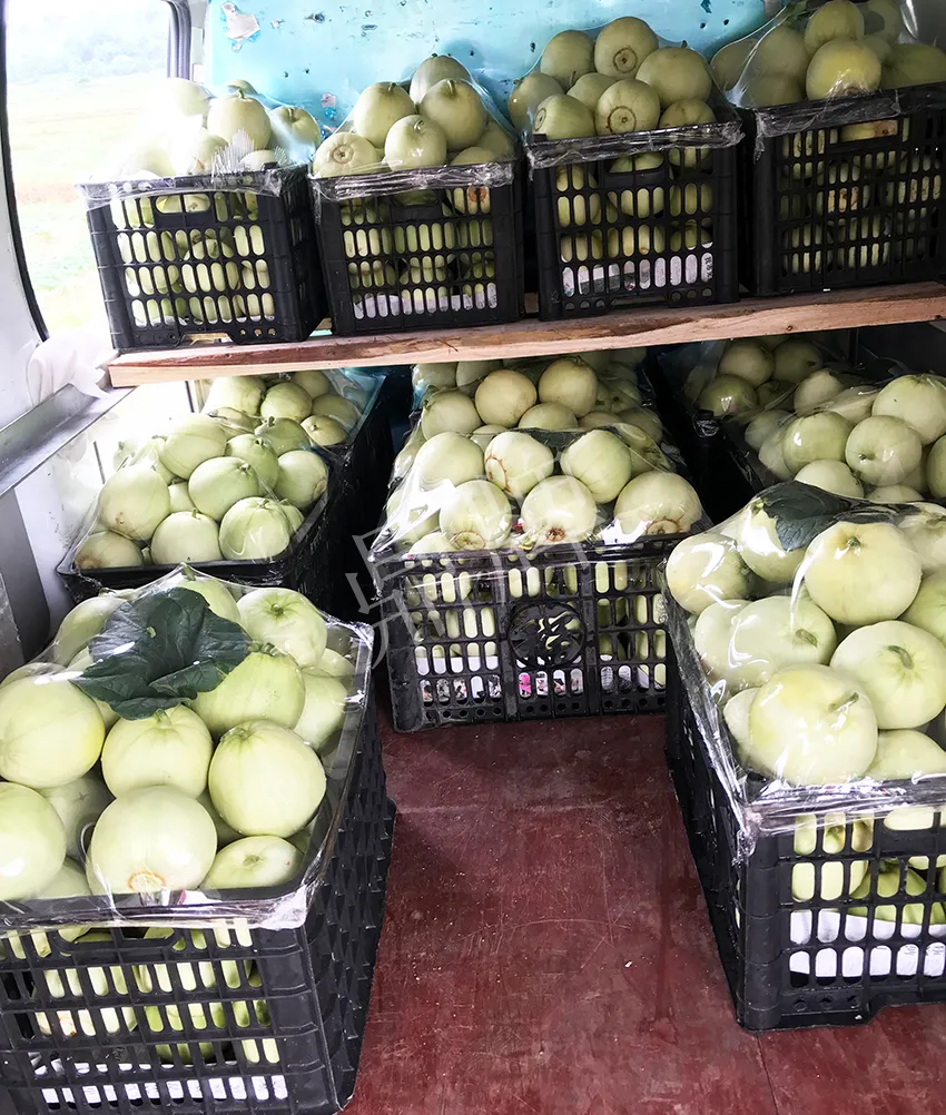 郴州農戶種植新品種，果實又香又甜，很好賣