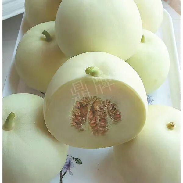 蔬菜種子種植戶(hù)種植心得-這個(gè)品種幫我留一些，4月份我們當(dāng)?shù)剡€要種一批